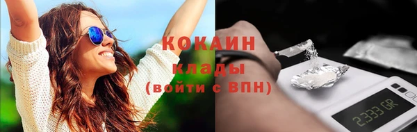 бошки Новозыбков