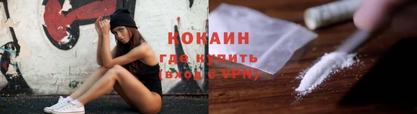 бошки Новозыбков